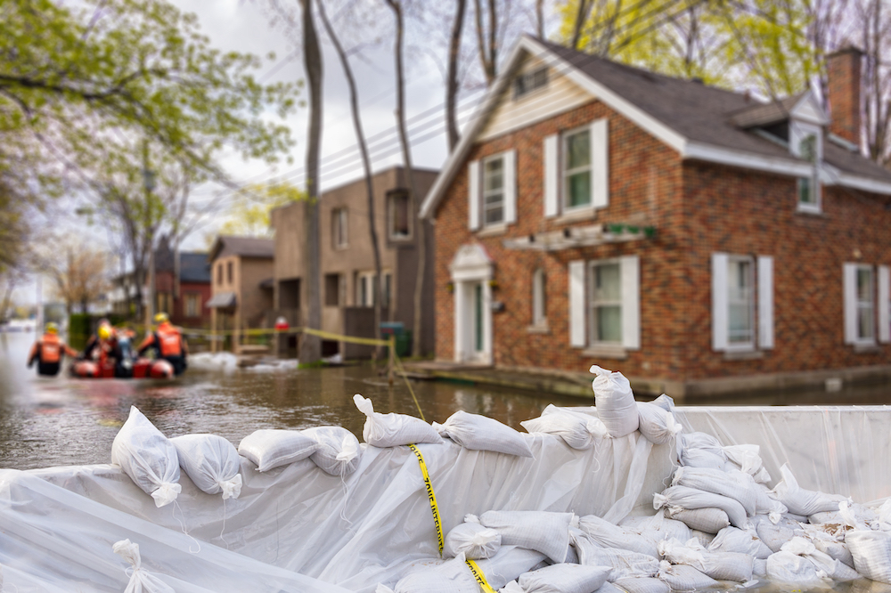 Flood insurance options - REIP