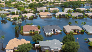 disaster preparation