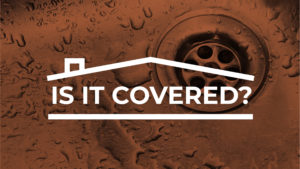 sewer backup insurance - REIP