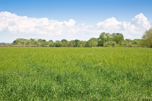 insuring vacant land - REInsurePro