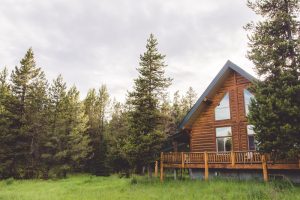 log cabin rental in surrounded by pine trees